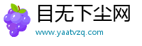 目无下尘网