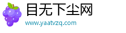 目无下尘网